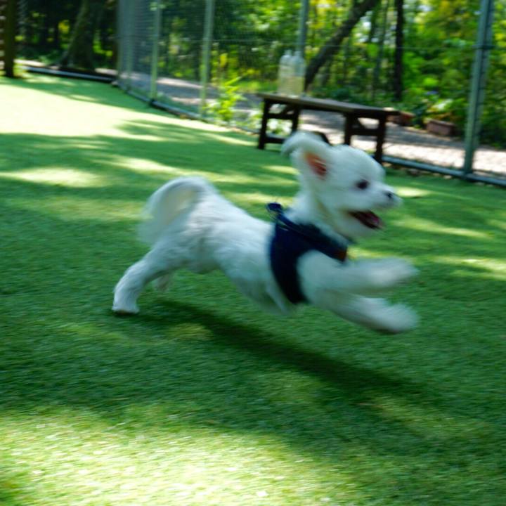 E0ab3ed6 465e 48df a43b a1375ca2ef46