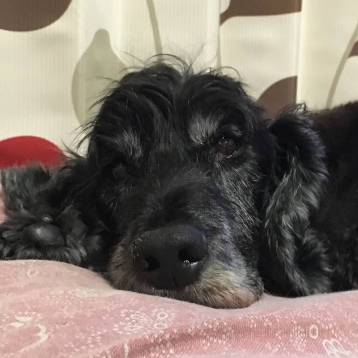 E0ac282a cd22 4375 afe8 332b463c49bb