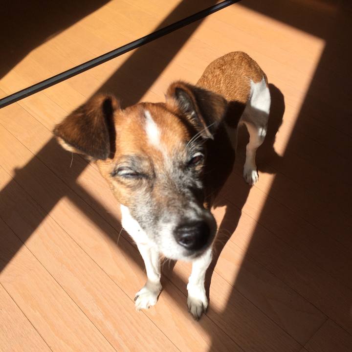 E0ac3387 ee5d 40b8 bacf 7293059d7913