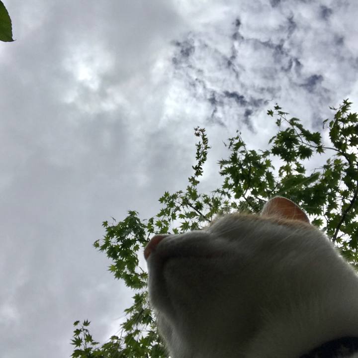 E0ac5176 a74b 4236 befb 4dbbe6ecff49