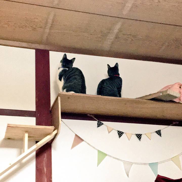 E0ad2ec2 b45b 43d0 90dd 2481f266d010