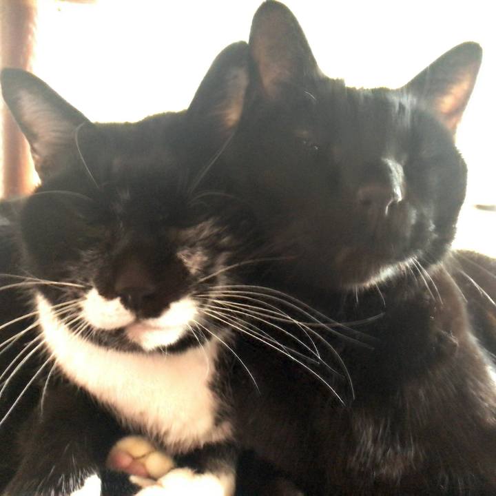 E0ad5906 e21f 4c13 9be6 5910e2d736bf