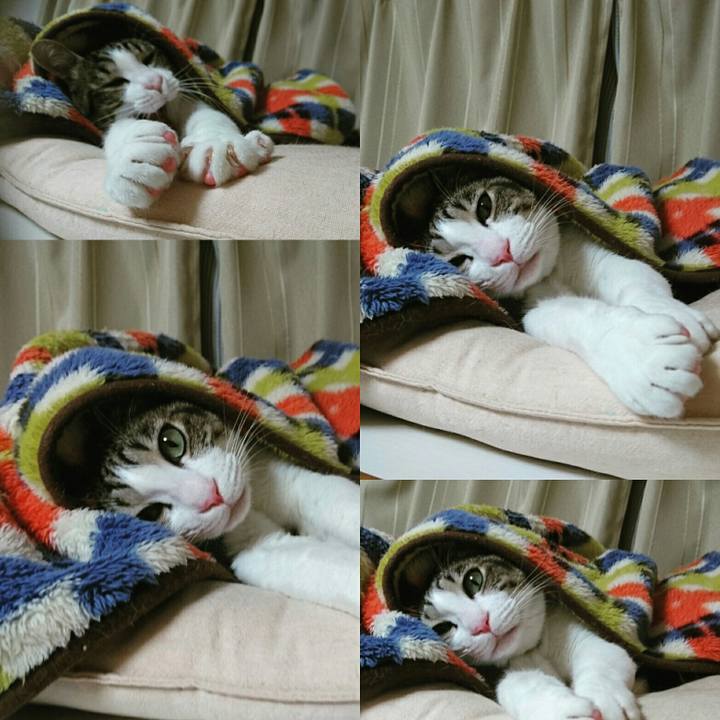 E0ad8cea db68 42f4 9920 4984c11a5b1b