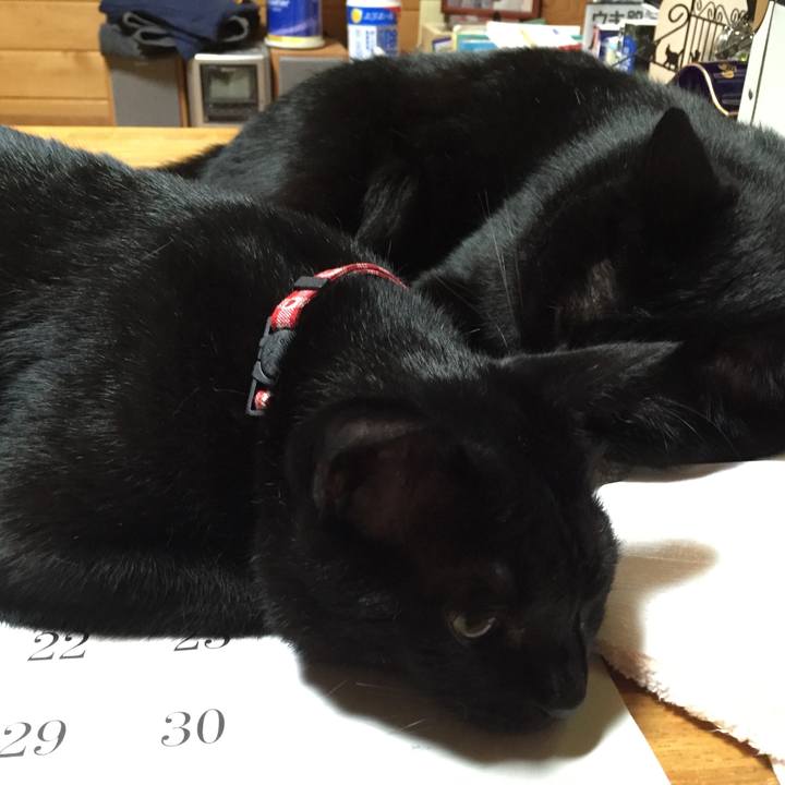 E0adc388 8258 4b13 a109 4b8af9a373f2