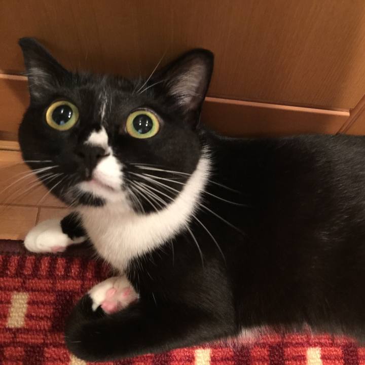 E0adcdf9 75e7 463b adc6 a944a357ba1a