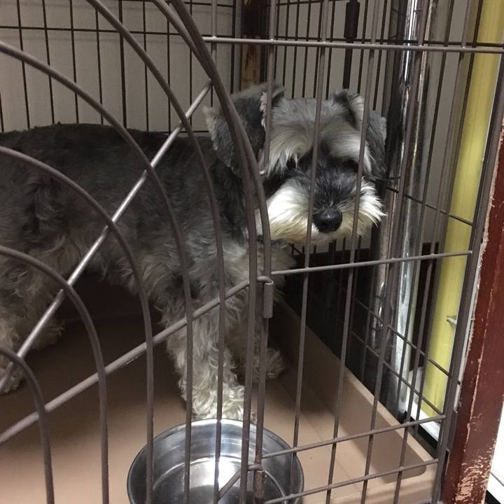 E0addfbc 305c 484c b077 b2956ed79e17