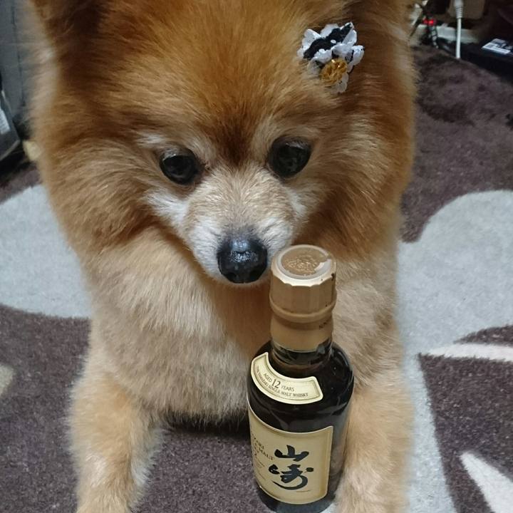 E0ae548a 0269 4c7b b525 63fa633c4418