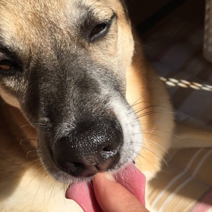 E0ae673d 57ba 4f82 84a5 fc03f85c3c72