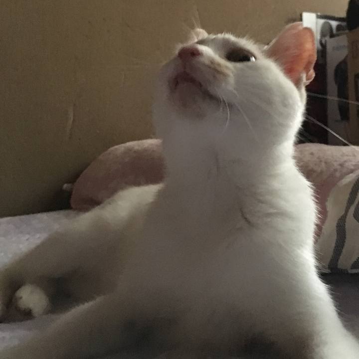 E0aeb74e 12e0 4a2d 9d1f 7b78a25d3767