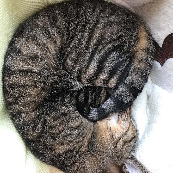 E0af422d 35fa 4d93 a947 8f7d1341668e