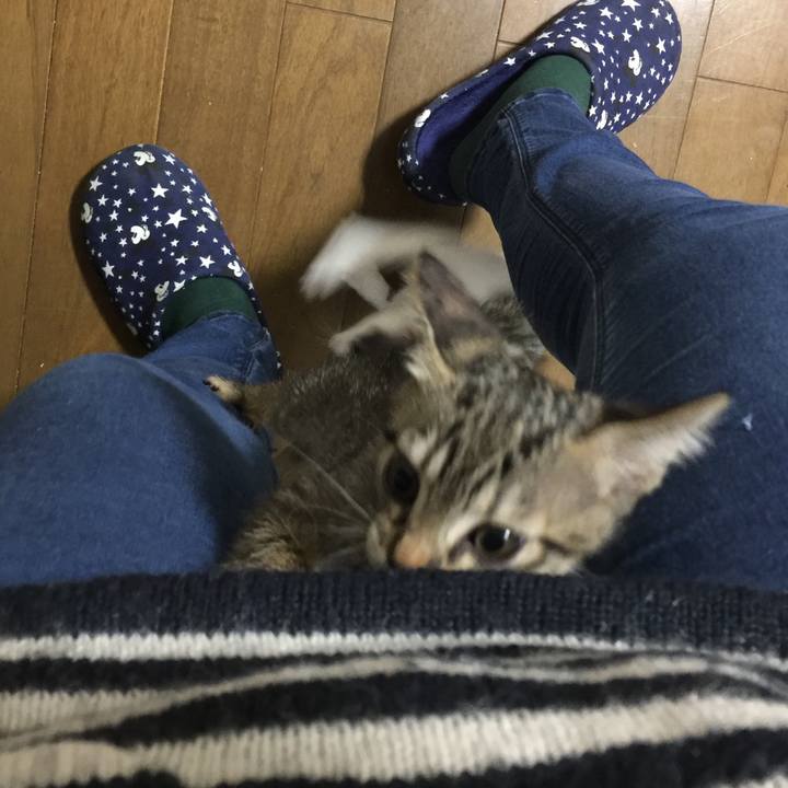 E0af53ca be3e 4fc3 9114 f012b7ce0d31