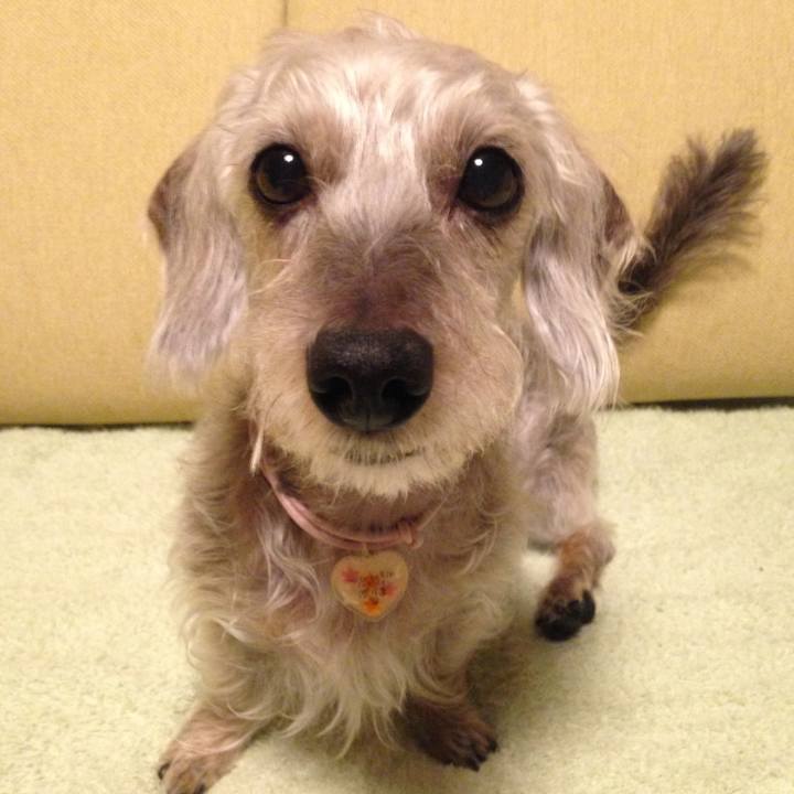 E0af77df ecc1 4336 8d3e f31c8834e7a9