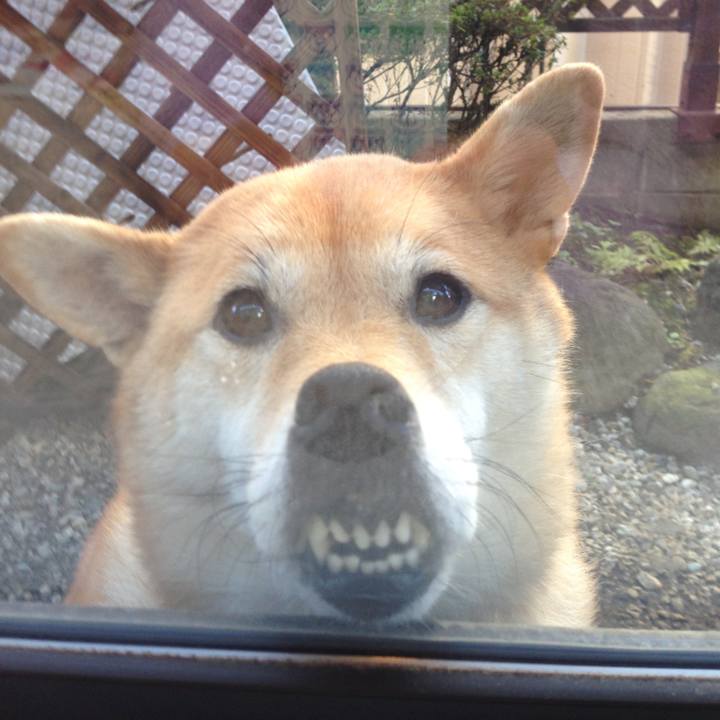 E0af7b91 4a13 4b68 85c0 be6541e633c6