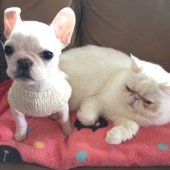 E0af9993 84ab 4627 b104 86b62eec8158