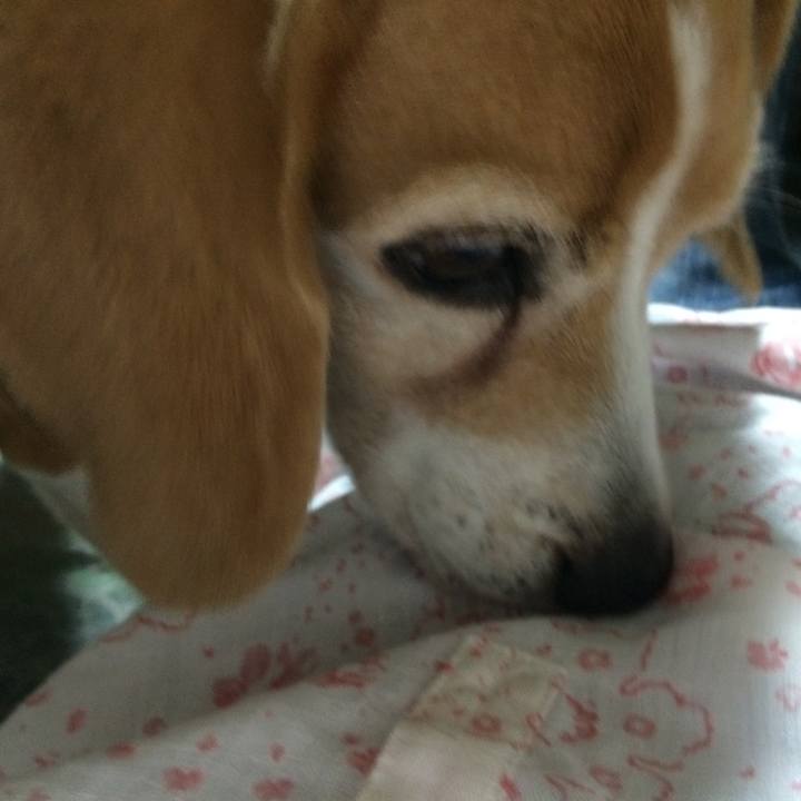 E0b085ca 36de 4f2d a1b4 0ac798aee418