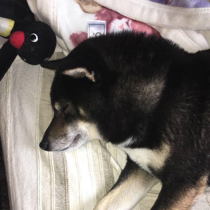 E0b0a346 f286 4248 a4a9 3aeb70b5bd7f