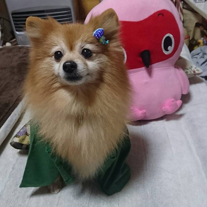 E0b0ffa8 edde 427b a7ec 7335215d839c