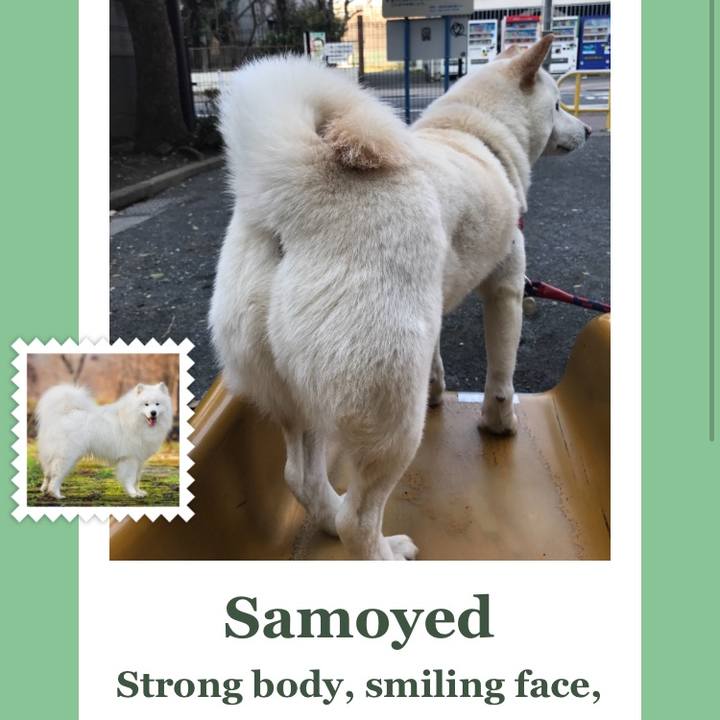 E0b109db 459f 48d3 987f b125c62bc4d1