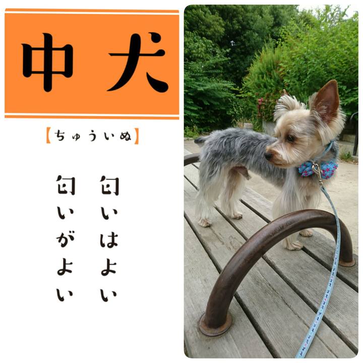 E0b16a58 c1d6 476c be74 badfc9ef8790