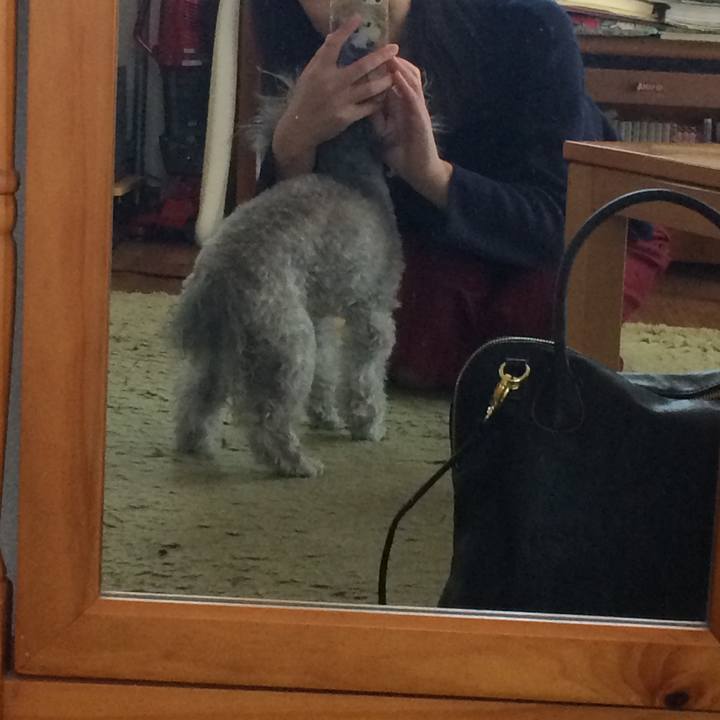 E0b16f0b 68bd 4e87 87af bb0db10d6e61