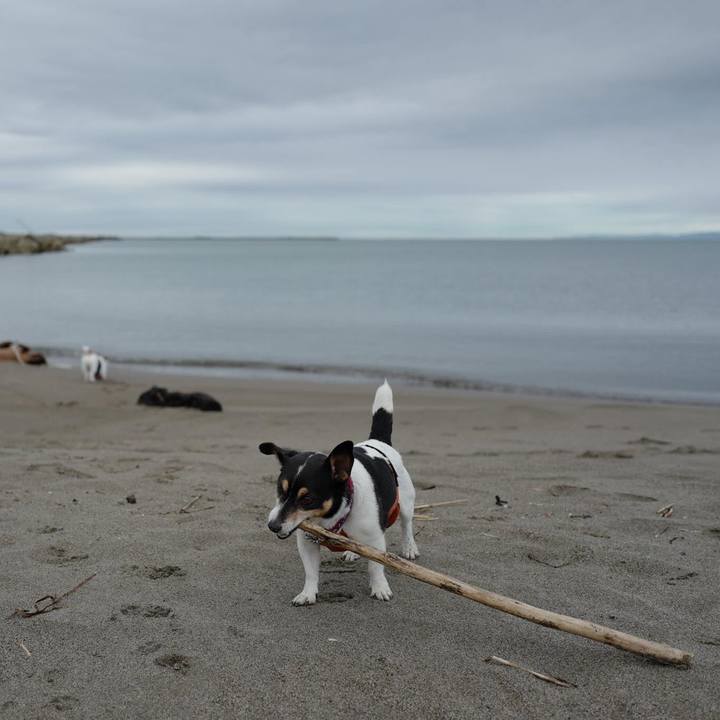 E0b19880 16d6 4b5e bdf3 dd97200ebb11