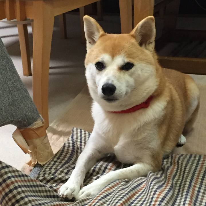 E0b1bc4e 66d3 49d8 8fd0 b3224563a8ed