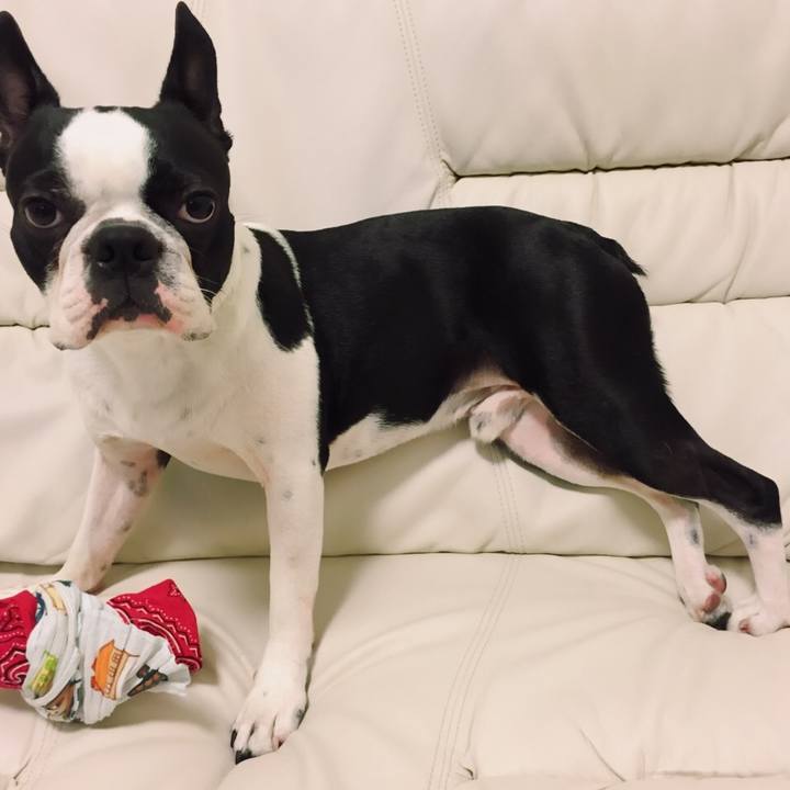 E0b1d9e4 34ea 49a0 ada4 ca85c7a88020