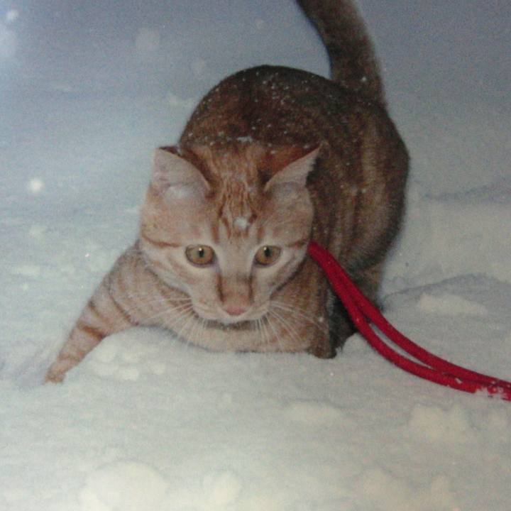 E0b1ea74 56e0 49ec a038 768fd01ca39d