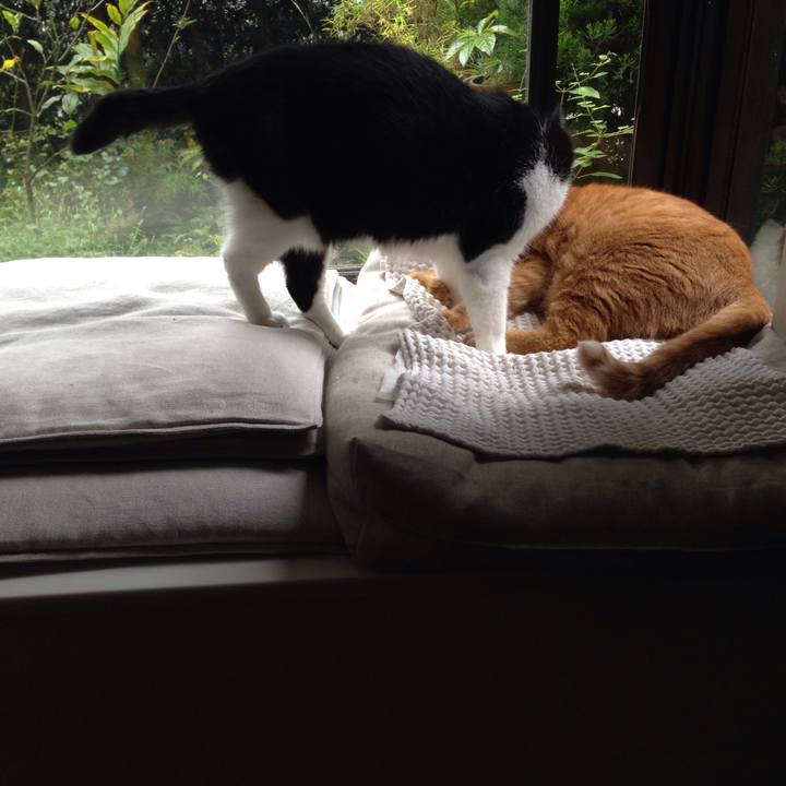 E0b28d68 0734 4cdc b63b 62b9b1d2d316