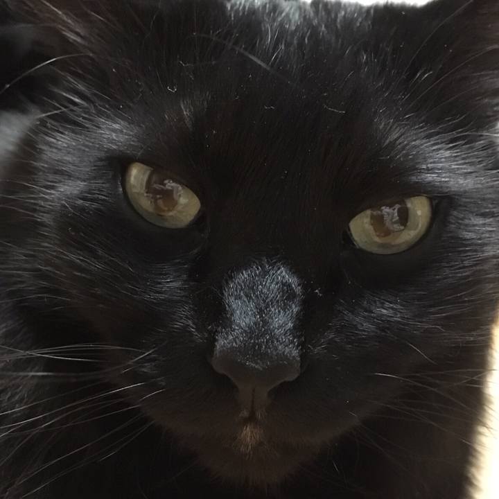 E0b2960a f5ed 4df7 94dd 842966ff62ed