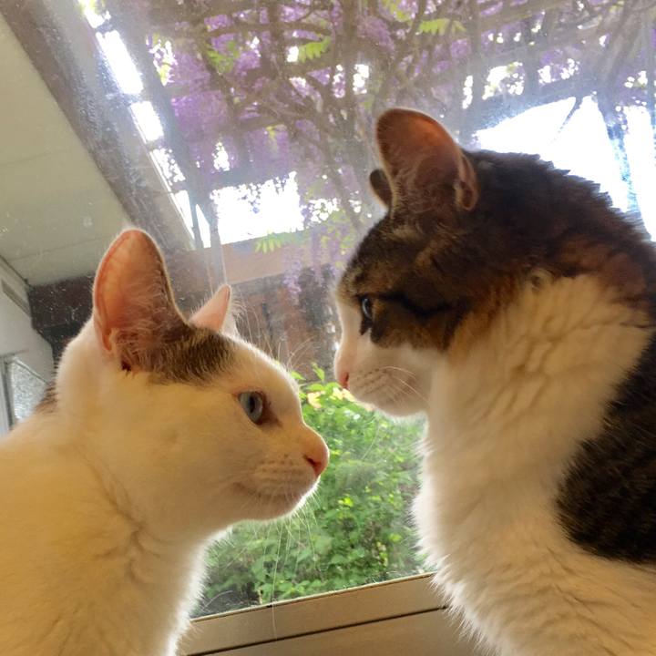 E0b3a67c 431d 4c80 849e 07849cfbb210