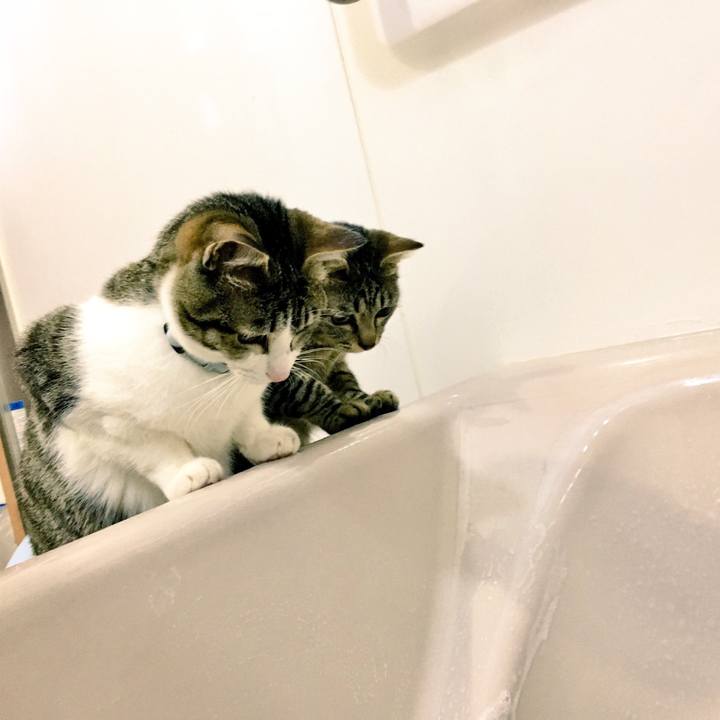 E0b45689 18bc 4d72 9149 185d2abf417c