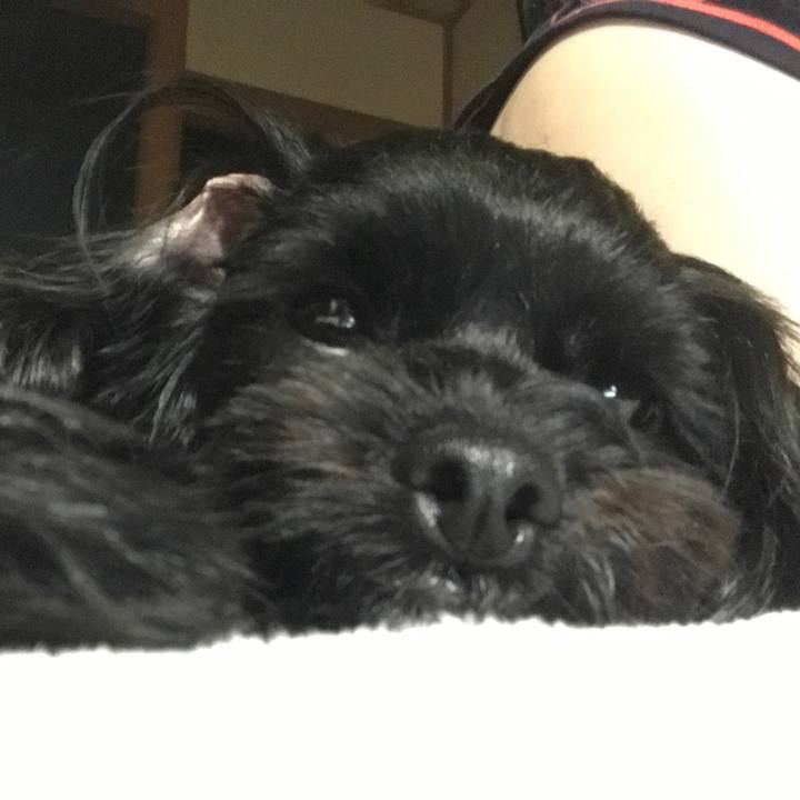 E0b4673e 607e 4410 a285 a02946666018