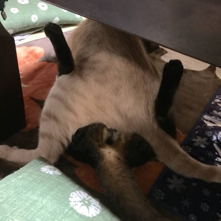 E0b47e51 da0b 4c36 820b 45fa512fef17