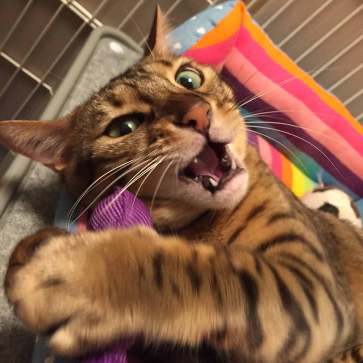 E0b50003 5957 4569 b363 e2328251fa4b