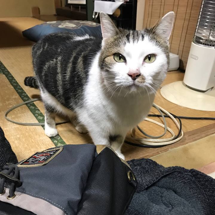 E0b5b6c0 d258 4732 9fed 931fd2aec82d