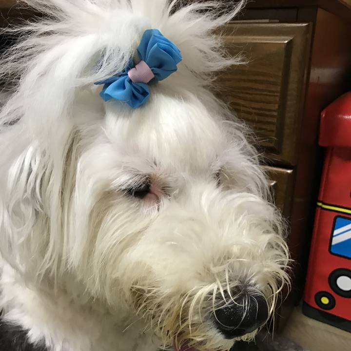 E0b5dfe6 866f 4a8b 9f28 ba5566b76ab0