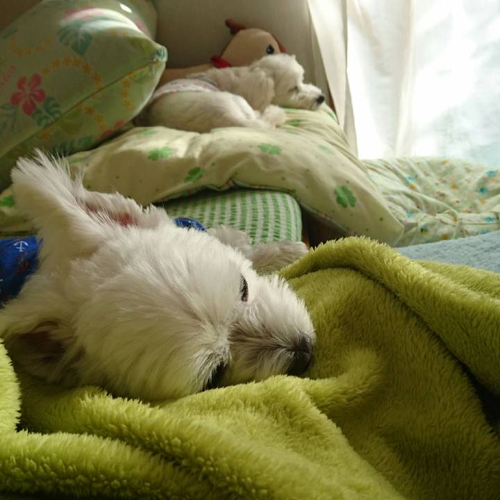 E0b5eb14 e843 4323 9033 df8ebd5a6d94