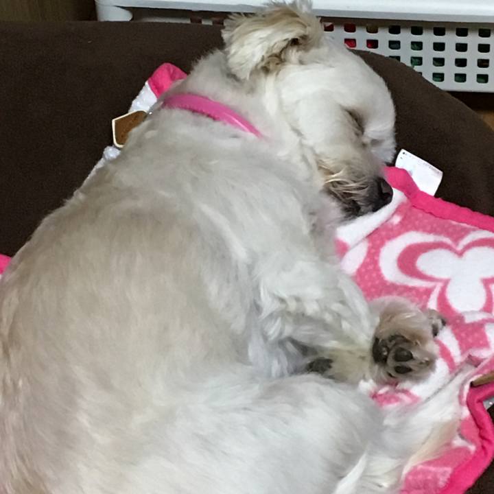 E0b65128 394f 4ae9 9100 466294f79826