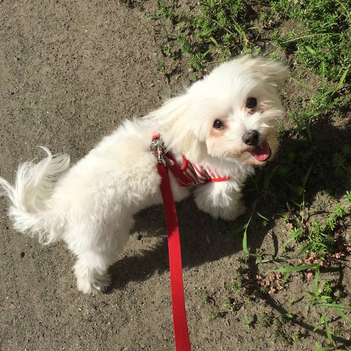 E0b744d0 d5f2 4fb8 a24f 4857a8cc6d55