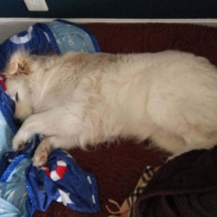 E0b78f31 3020 4b9a b4b7 9da2992ededd