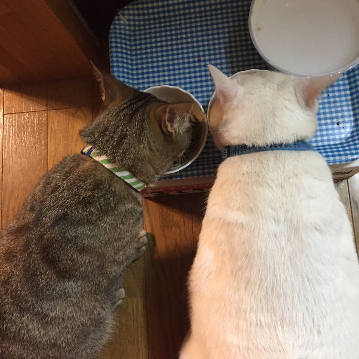 E0b7b084 aa1b 4055 aa34 d38fff6697e2