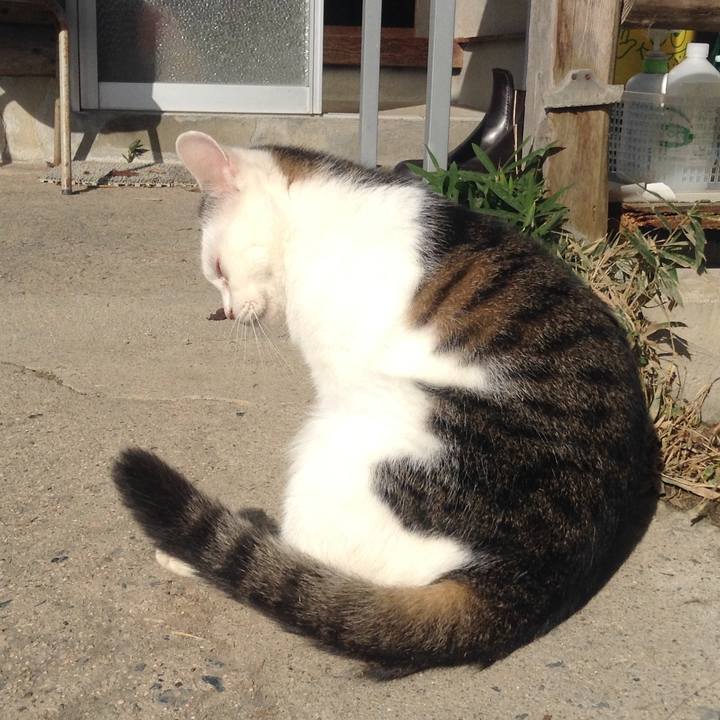 E0b7d7a9 9e33 4096 8226 638a0f0abe71