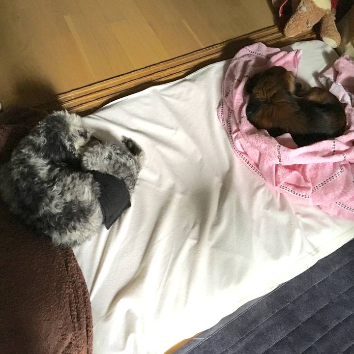 E0b81aae 8b3c 43be 9895 5cd6bd9397ec