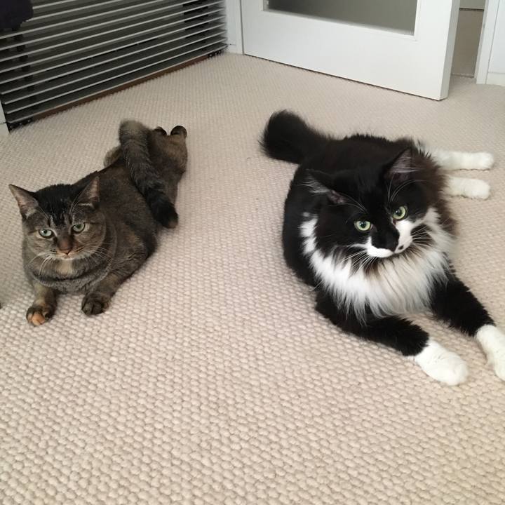 E0b85d1a f0db 4cab ba26 0e16da2c1523