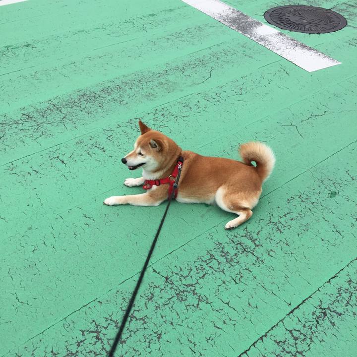 E0b8d8b4 0df0 4211 8899 dcad28531c01