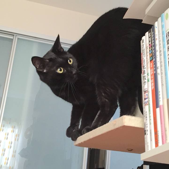 E0b8f798 4d84 47cf 852c be44b0a853d8