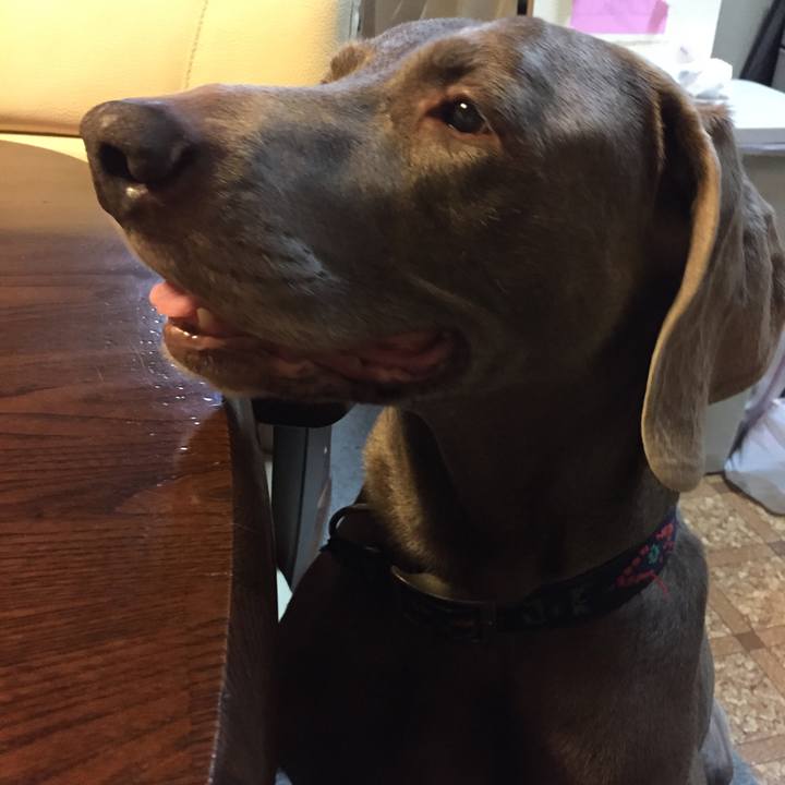 E0b9881d 3569 4063 8980 fdf94d89345f