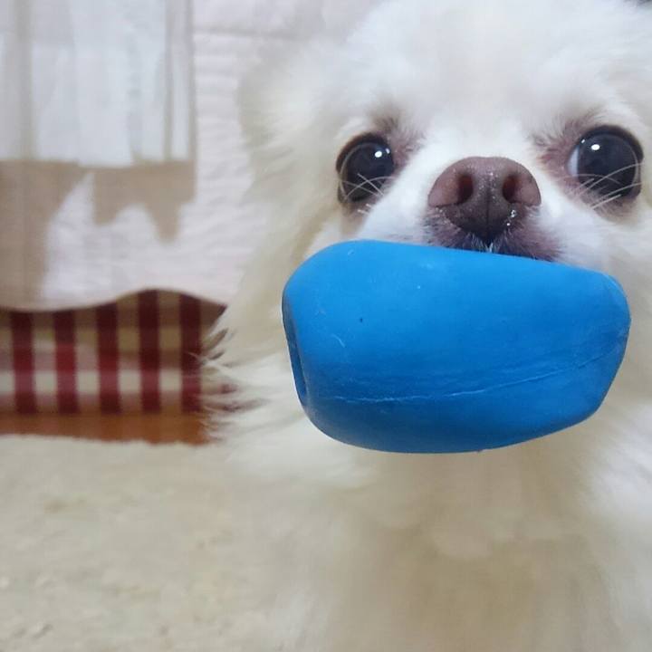 E0b9c112 b553 49d2 904d b72ab515496e