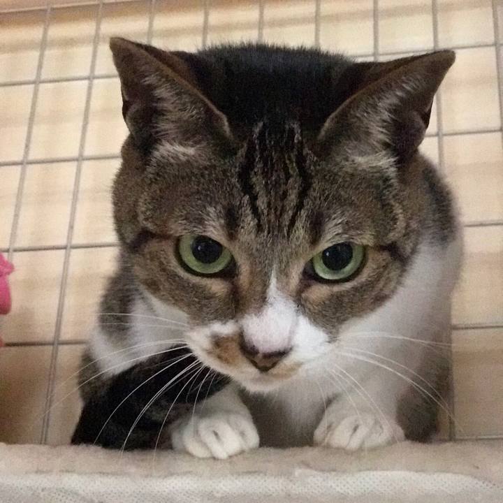 E0b9e7aa 238c 44b6 853a a910857236a5